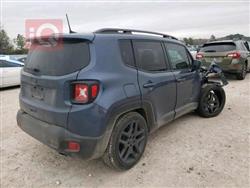 جيب رينيجيد